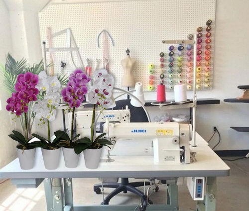 ��������